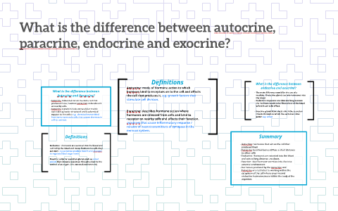 What Is The Difference Between Autocrine Paracrine Endocri By Siobhan Van Der Pool