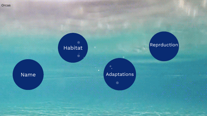 Zoology Project by Alexa Jentzen on Prezi