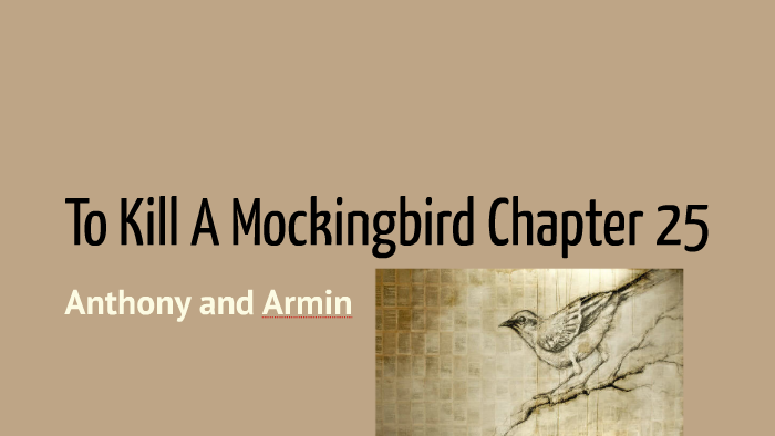 chapter 25 to kill a mockingbird