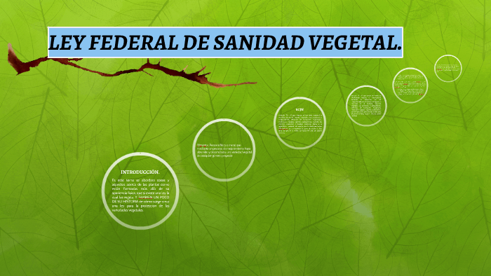 LEY FEDERAL DE SANIDAD VEGETAL. by miguel pablo ocelotl on Prezi
