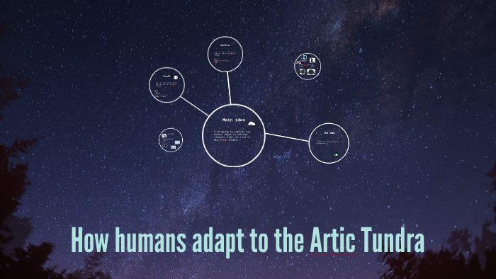 How humans adapt to the Artic Tundra by Manuela Rocha on Prezi