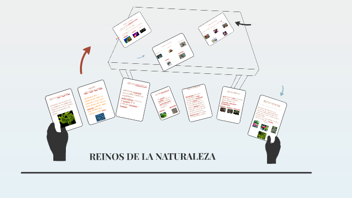 REINOS DE LA NATURALEZA by Keily VAldivieso on Prezi