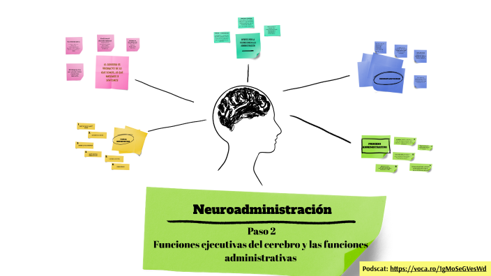 NEUROADMINISTRACIÓN by yury paola on Prezi