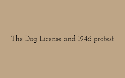 why was the dog licence abolished