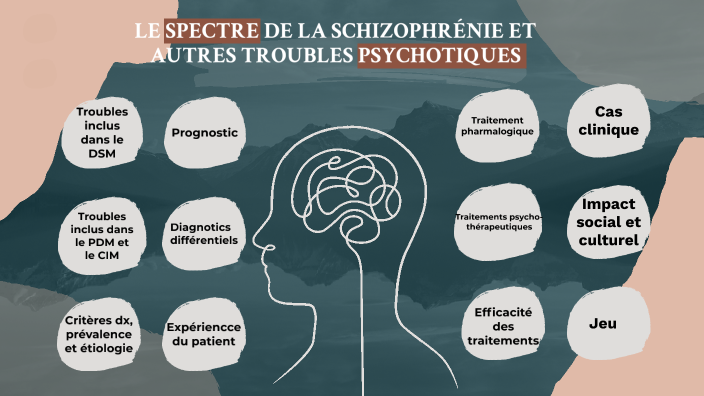 Le spectre de la schizophrénie et autres troubles psychotiques by