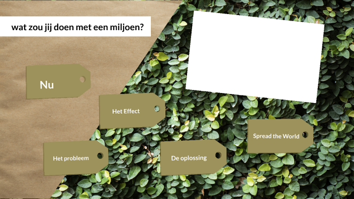 Wat Zou Jij Doen Met Een Miljoen By Lina Schrijvers On Prezi 