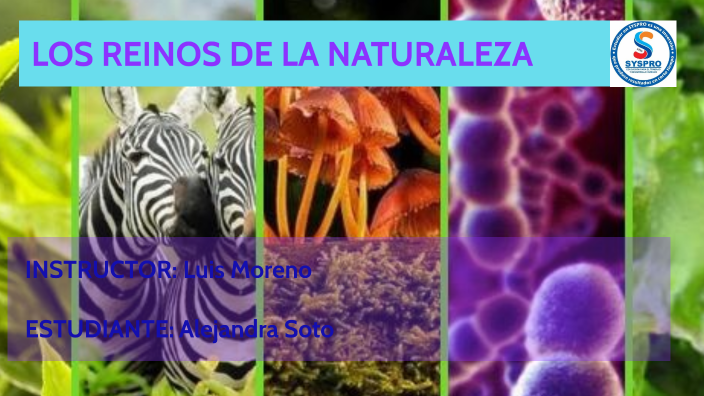 Reinos De La Naturaleza by Alejandra Soto vanegas on Prezi