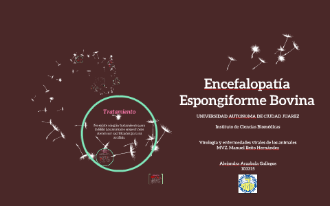 Encefalopatía Espongiforme Bovina by alejandra arzabala on Prezi