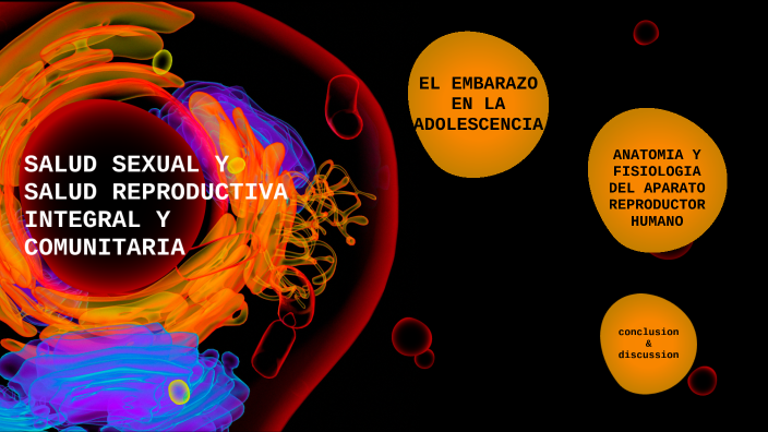 Salud Sexual Y Salud Reproductiva Integral Y Comunitaria By Mayerly Estefani Carmona Villegas On 7705