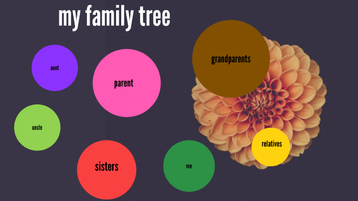 my family tree by ignacio carrizo gonzalez on Prezi