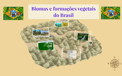 Biomas e formações vegeta by alycia luna on Prezi