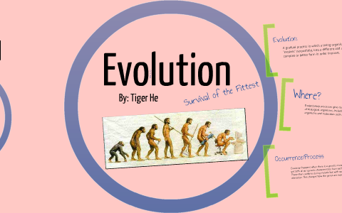 Human Evolution by Tiger He on Prezi