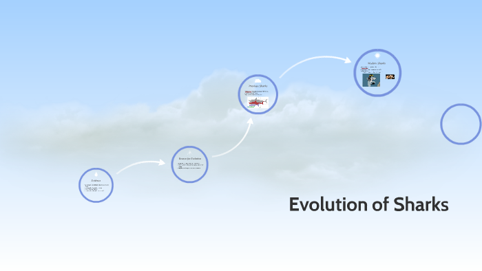 Evolution of Sharks by Independence High on Prezi