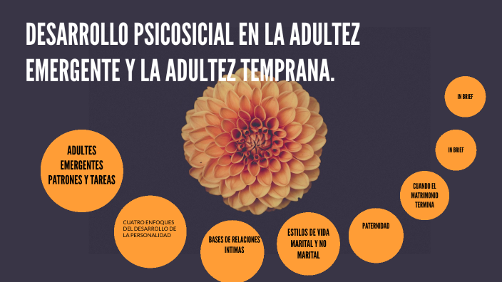 Desarrollo psicosocial en la adultez emergente y la adultez temprana by ...