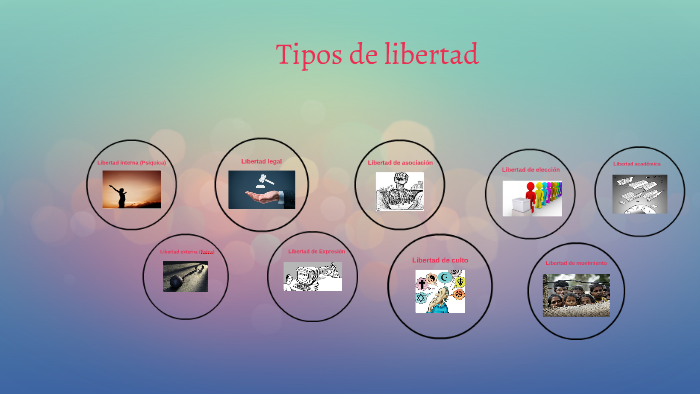 Tipos de libertades by eneko lopez