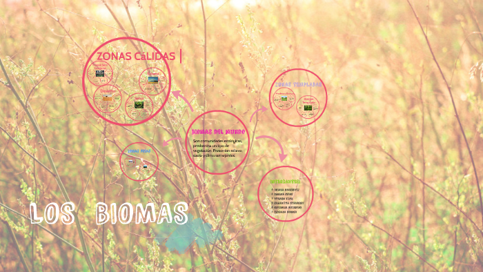 Biomas del mundo by Ximena Sicos on Prezi