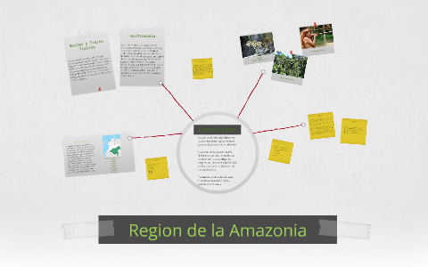 Region de la Amazonia by miguel sanabria on Prezi