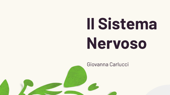 Il Sistema Nervoso By Giovanna Carlucci On Prezi