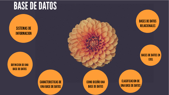 BASE DE DATOS by LIZETH BENAVIDES on Prezi