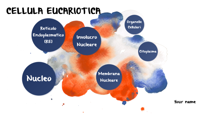 LA STRUTTURA DELLA CELLULA EUCARIOTICA by andrea liuzzi on Prezi