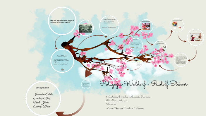 LA PEDAGOGIA WALDORF STEINER visual data 3