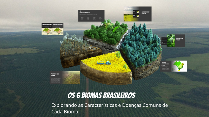 Os 6 Biomas Brasileiros by Saulo Lindo on Prezi