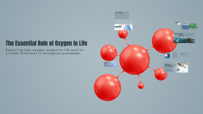 The Essential Role of Oxygen in Life by Shea Roessler on Prezi
