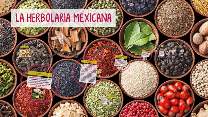 LA HERBOLARIA MEXICANA by Valeria Espina Gutiérrez on Prezi