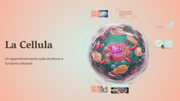 La Cellula by Lucia Pirro on Prezi