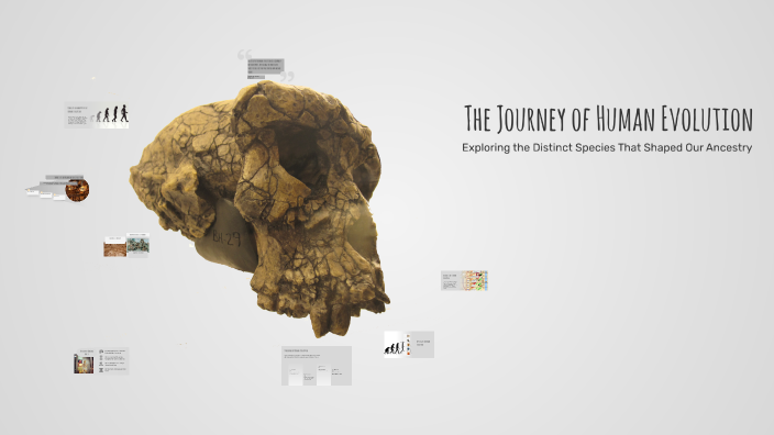 The Journey of Human Evolution by eli kkk on Prezi