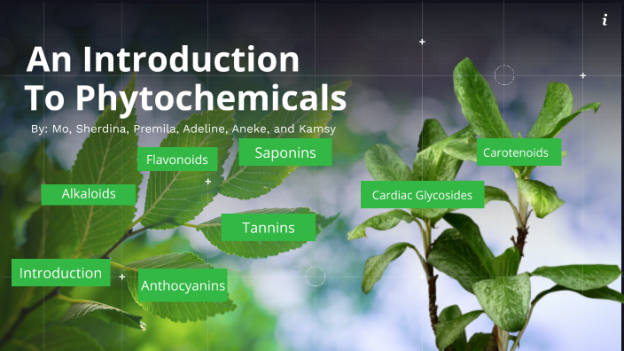 An Introduction to PhytoChemicals by Mo on Prezi