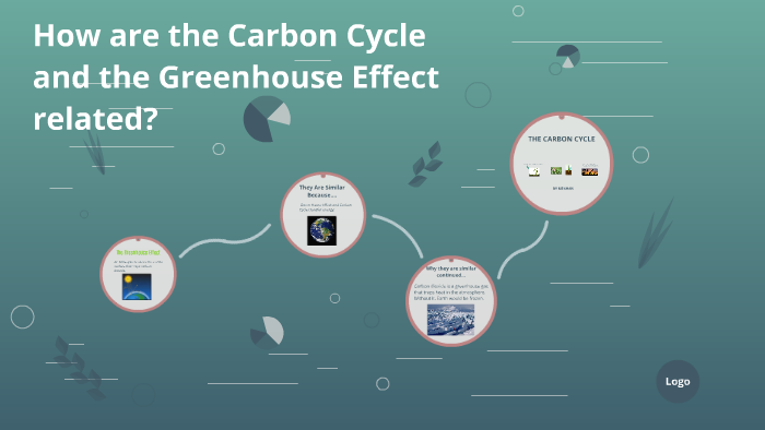 How are the Carbon Cycle and the Greenhouse effect related by Lana Rice ...