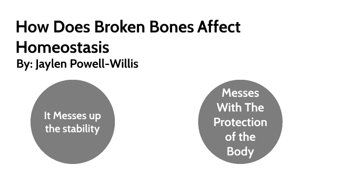 how-does-a-broken-bone-affect-homeostasis-by-jaylen-powell-willis-on-prezi