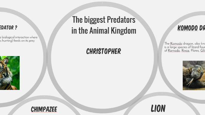 The biggest predators in the animal kingdom by Christopher Martinez Arana  on Prezi Next