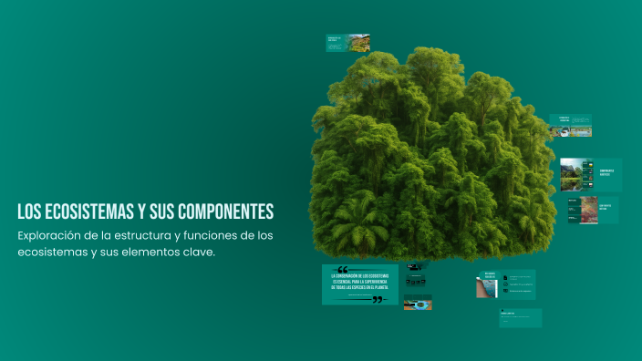Los Ecosistemas y sus Componentes by alexdra guarango on Prezi