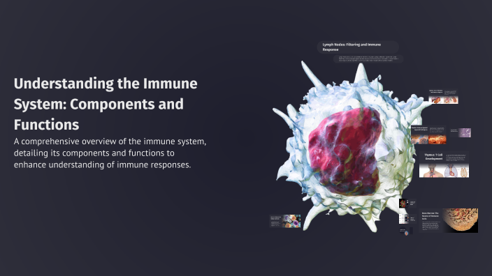 Understanding the Immune System: Components and Functions by Umme ...