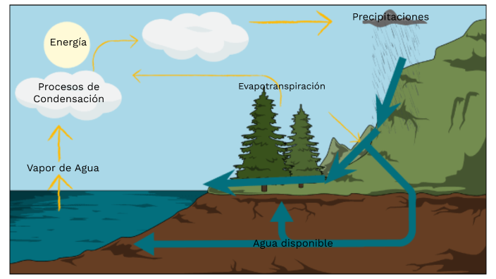 Diagrama II by Josefina Trindade on Prezi Next