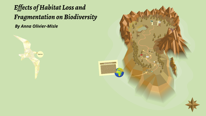 Effects of Habitat Loss and Fragmentation on Biodiversity by Anna ...