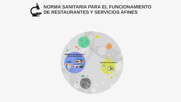 NORMA SANITARIA PARA EL FUNCIONAMIENTO DE RESTAURANTES Y SER By ...