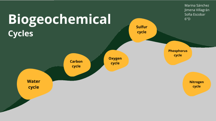 Biogeochemical cycles by Marina Sanchez Quesada on Prezi