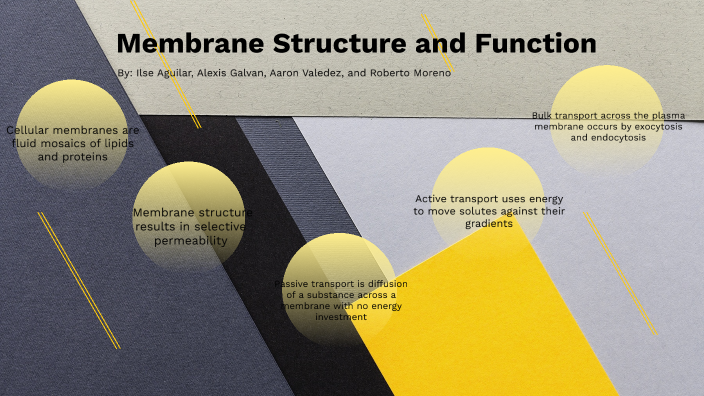 chapter-7-membrane-structure-and-function-by-ilse-aguilar