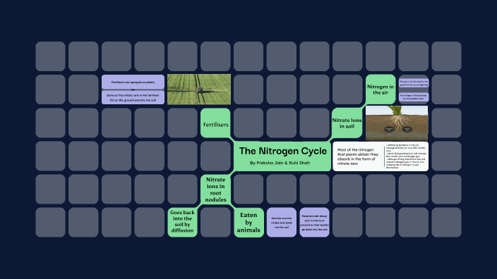 The Nitrogen Cycle by Preksha Jain on Prezi