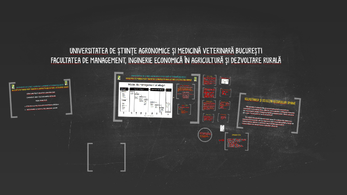 Untitled Prezi By Horia Ciocan On Prezi