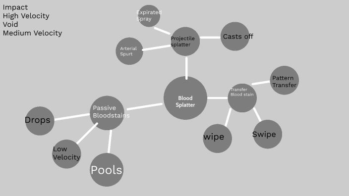 Concept Map by Sarah Weichseldorfer on Prezi
