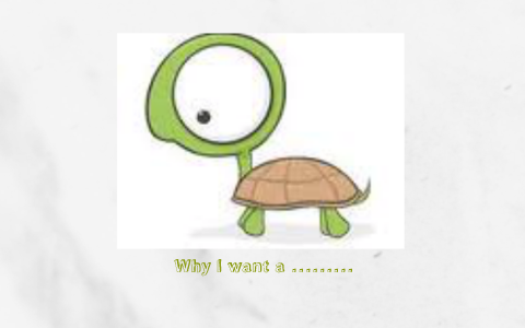 Turtle by Emily Simmons on Prezi