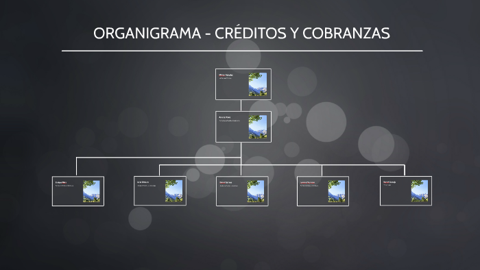 Organigrama CrÉditos Y Cobranzas By Daniel Cornejo 2349