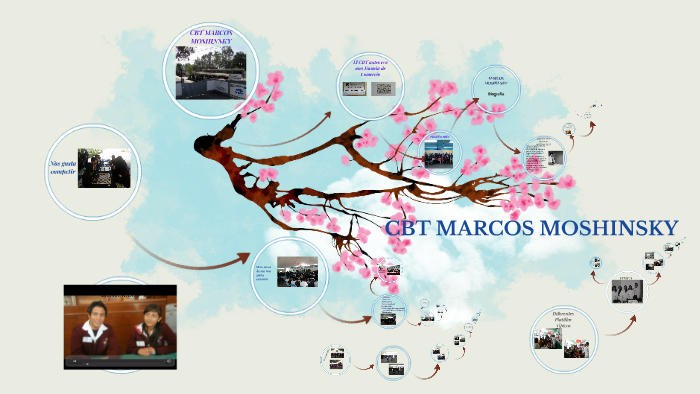 CBT MARCOS MOSHINSKY by on Prezi Next