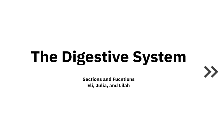 The Digestive System by Elisa Wise on Prezi