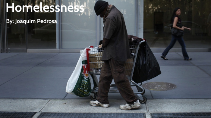 Homeless by on Prezi