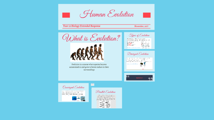 Human Evolution by ameenachoudary choudary on Prezi